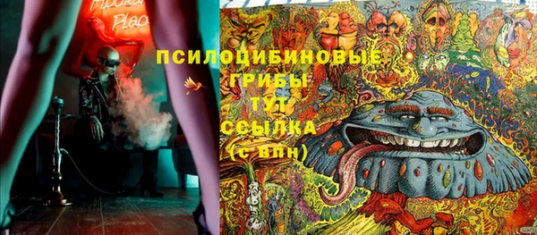 дмт Кукмор