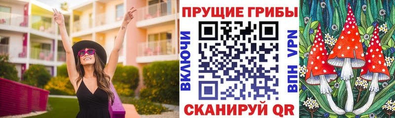 кракен tor  Хабаровск  Псилоцибиновые грибы прущие грибы 