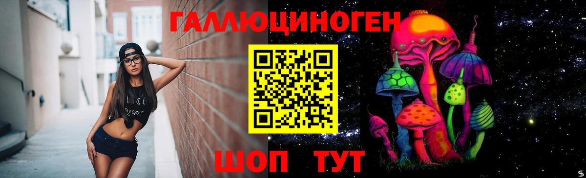 Галлюциногенные грибы Psilocybine cubensis Хабаровск